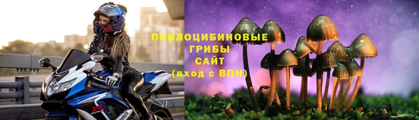 ECSTASY Володарск