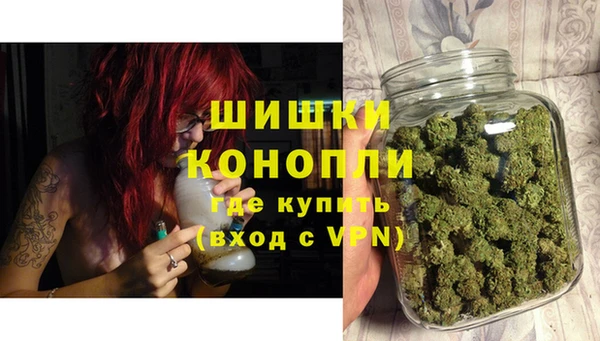 PSILOCYBIN Волоколамск