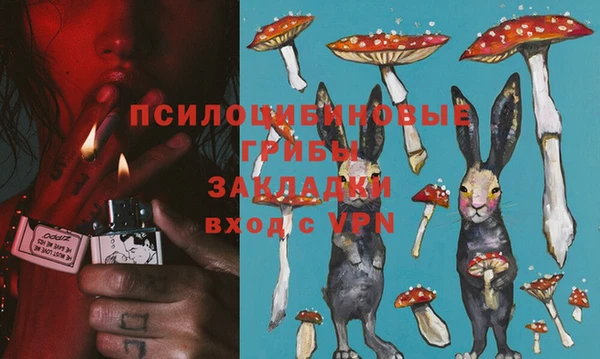 ECSTASY Володарск